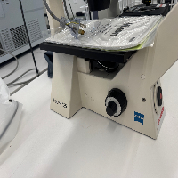 Zeiss Axiovert 25 Inverted Microscope image 0